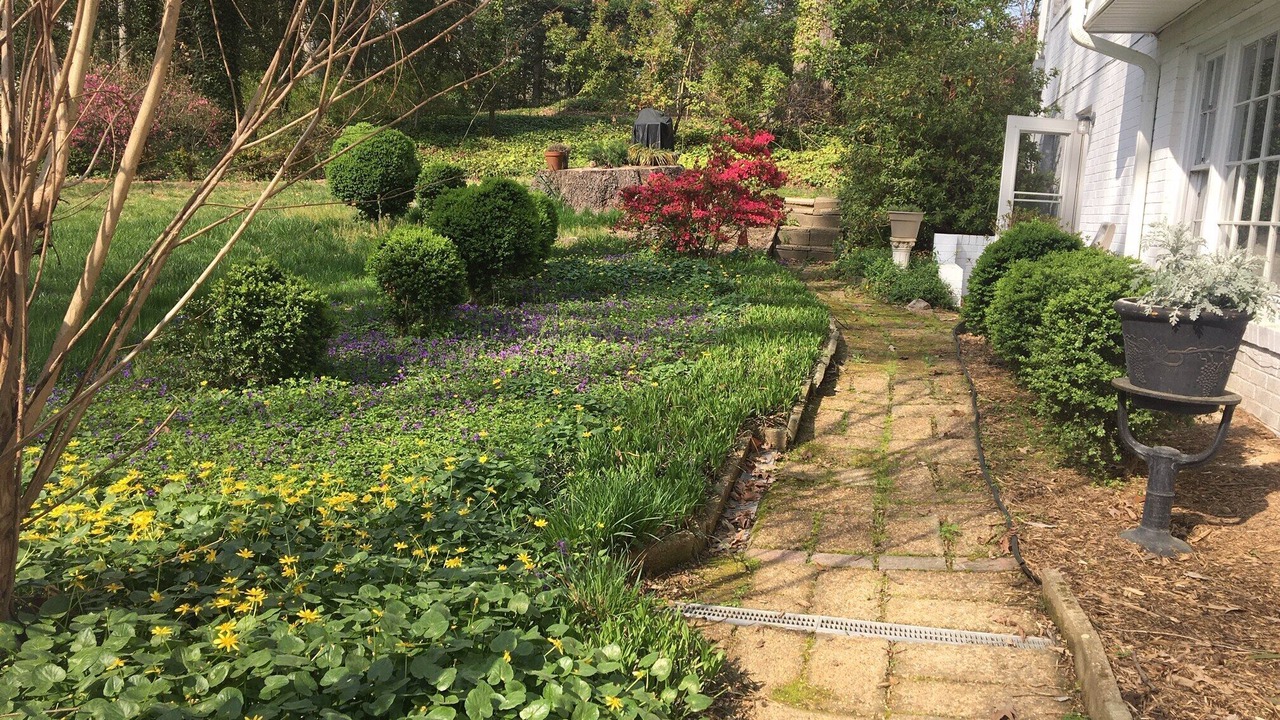Photo of Outdoor in North Chesterfield