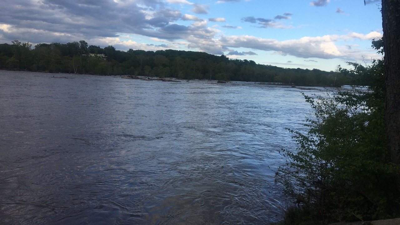 Photo of Others in North Chesterfield