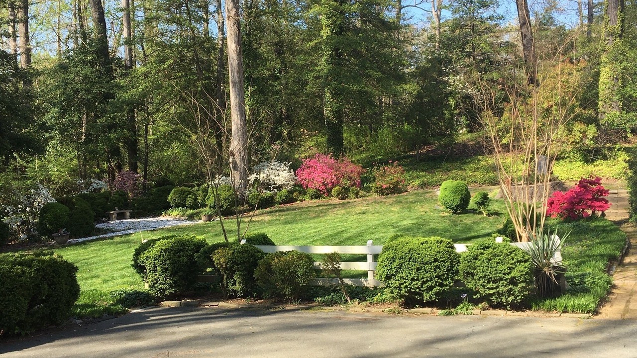 Photo of Outdoor in North Chesterfield