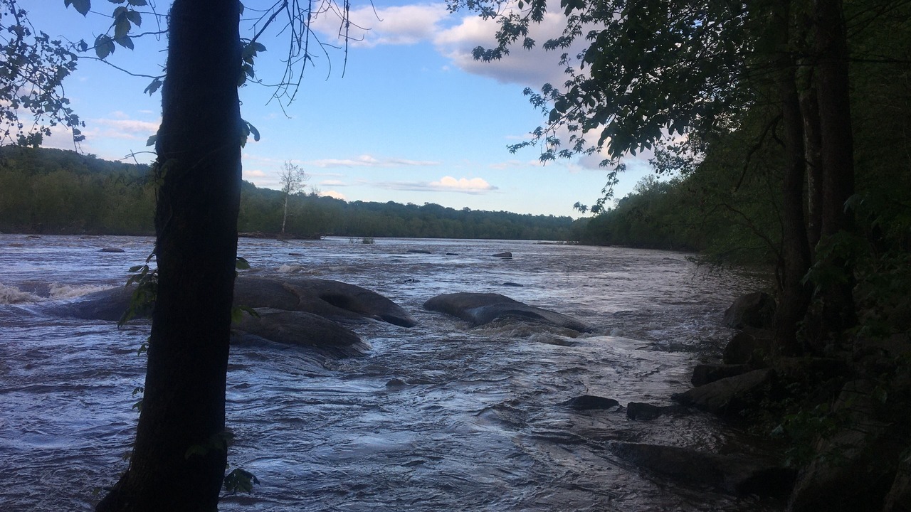 Photo of Others in North Chesterfield
