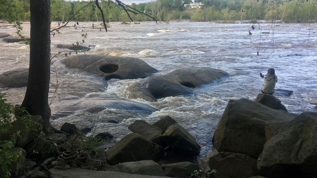 Photo of Others in North Chesterfield