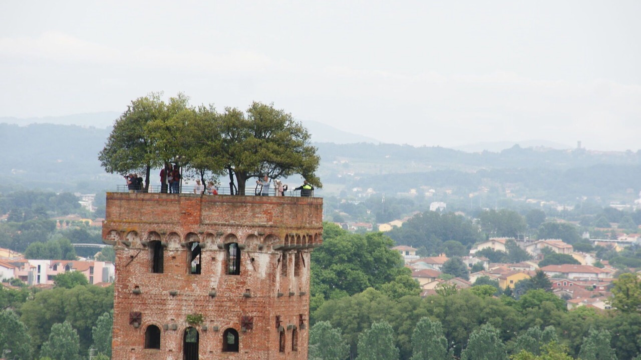 Photo of Others in San Michele di Moriano
