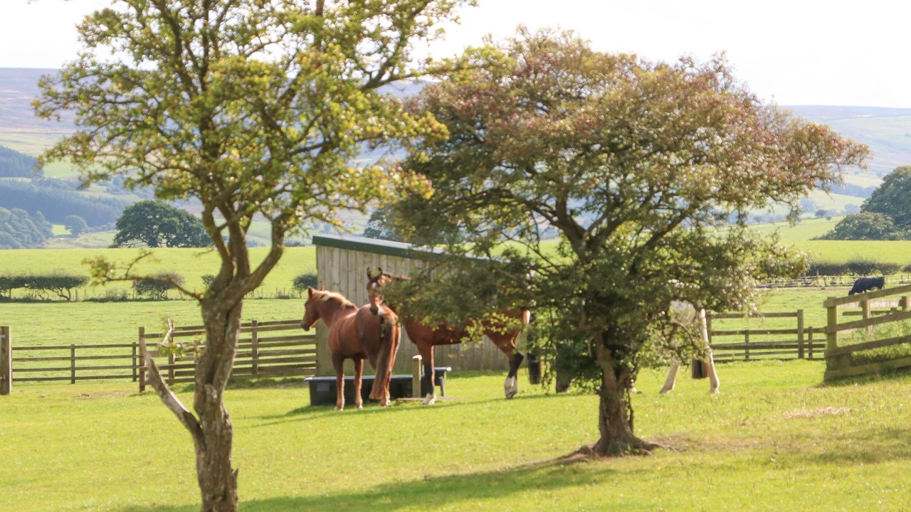 Photo of Outdoor in Hexham