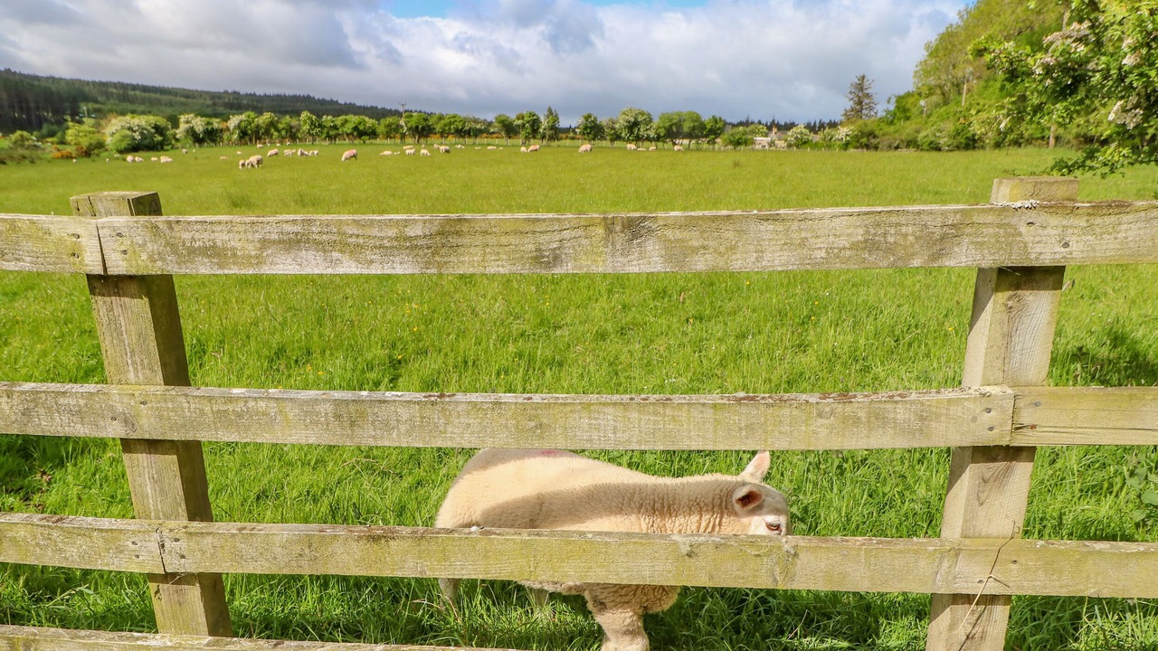 Photo of Outdoor in Hexham