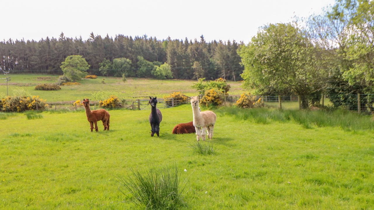 Photo of Outdoor in Hexham