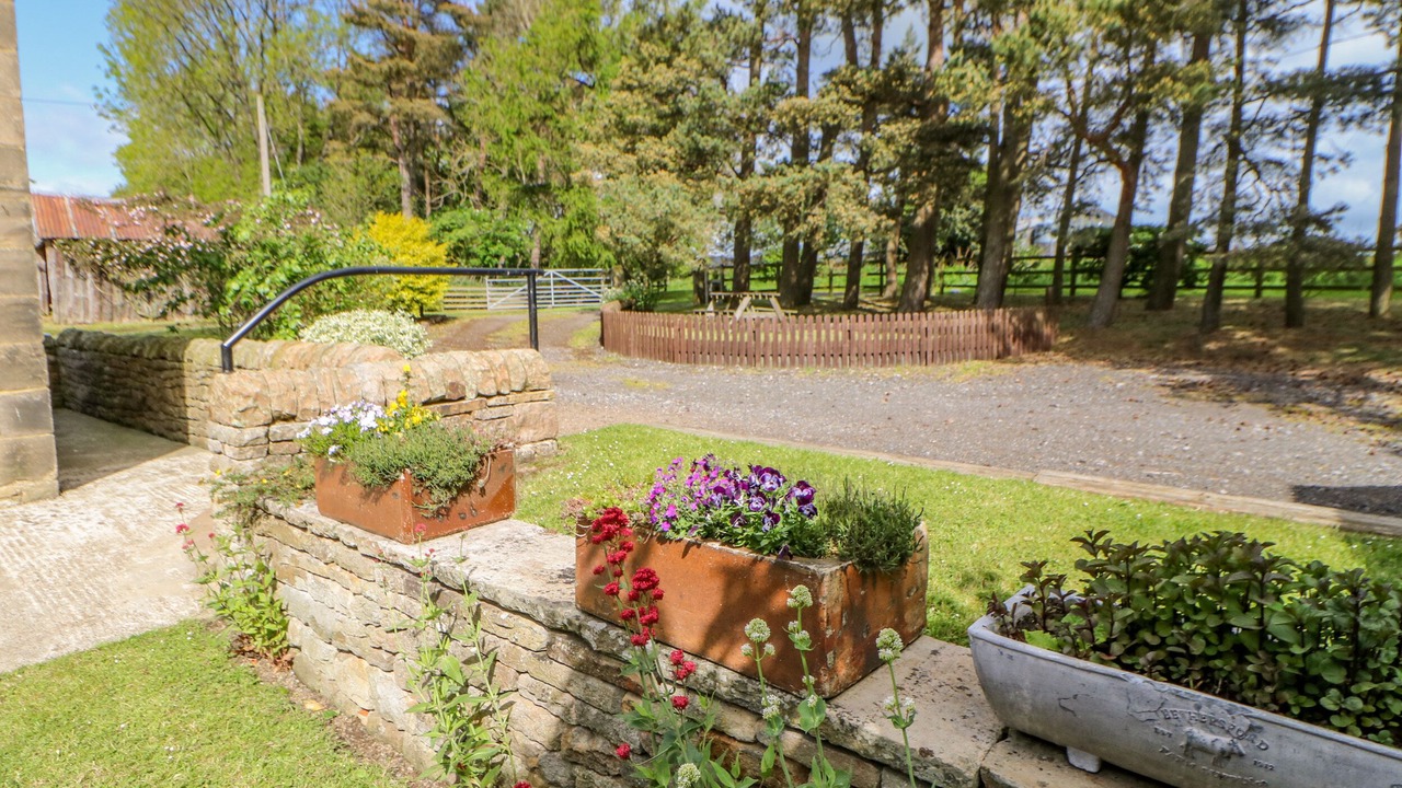 Photo of Outdoor in Hexham