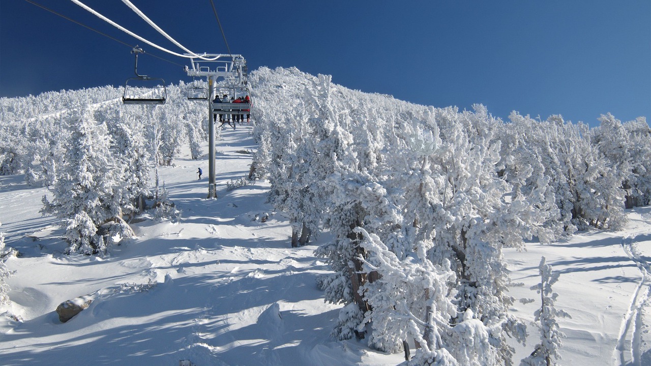 Photo of Others in Incline Village