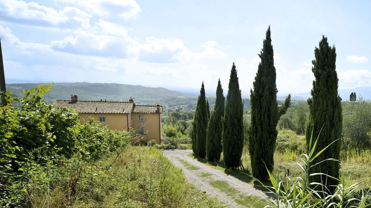 Photo of Outdoor in Capannori