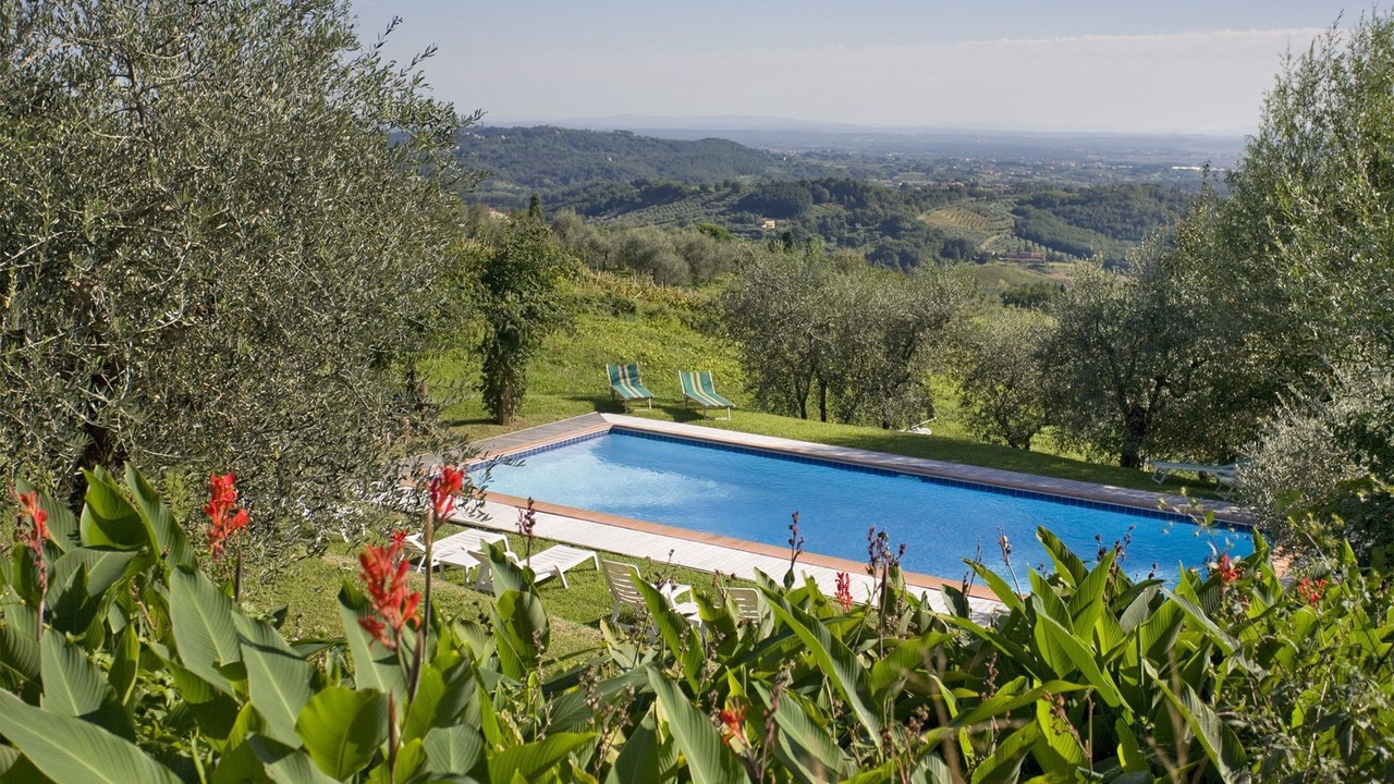 Photo of Outdoor in Capannori