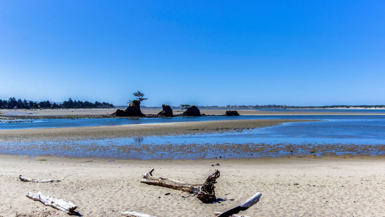 Photo of Others in Lincoln City
