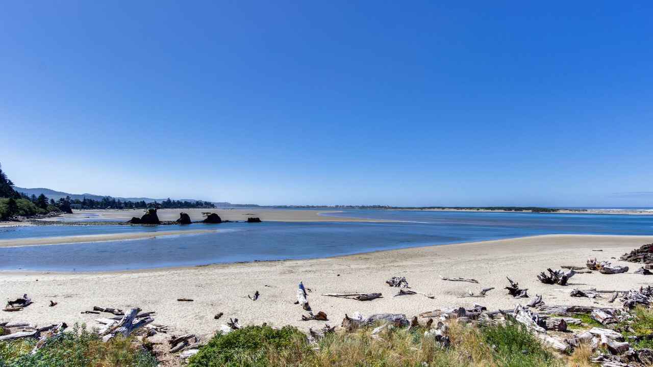 Photo of Others in Lincoln City