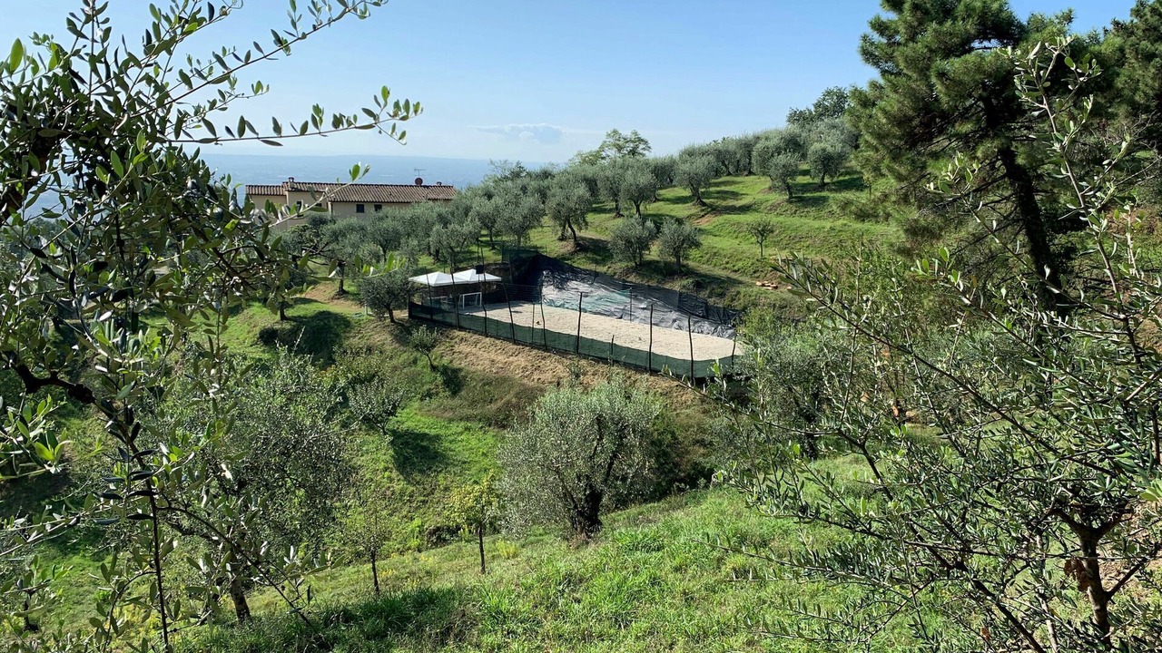 Photo of Others in Massa e Cozzile