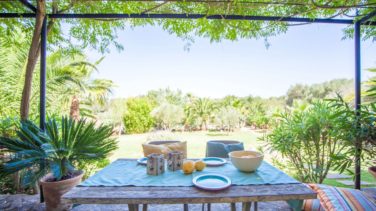 Photo of Outdoor in Costitx
