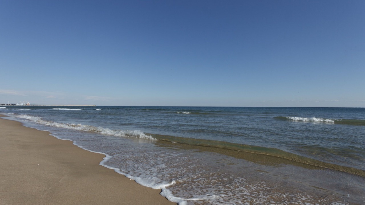 Photo of Others in Platja de Piles