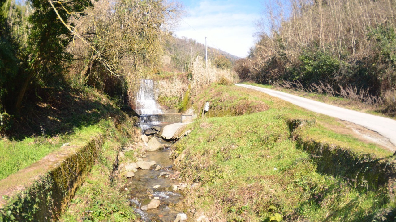 Photo of Outdoor in Massa e Cozzile