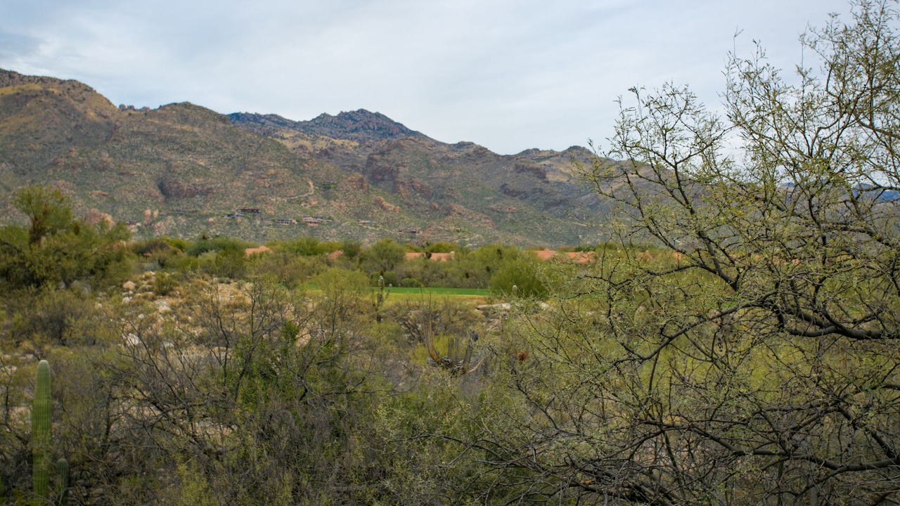 Photo of Others in Tucson