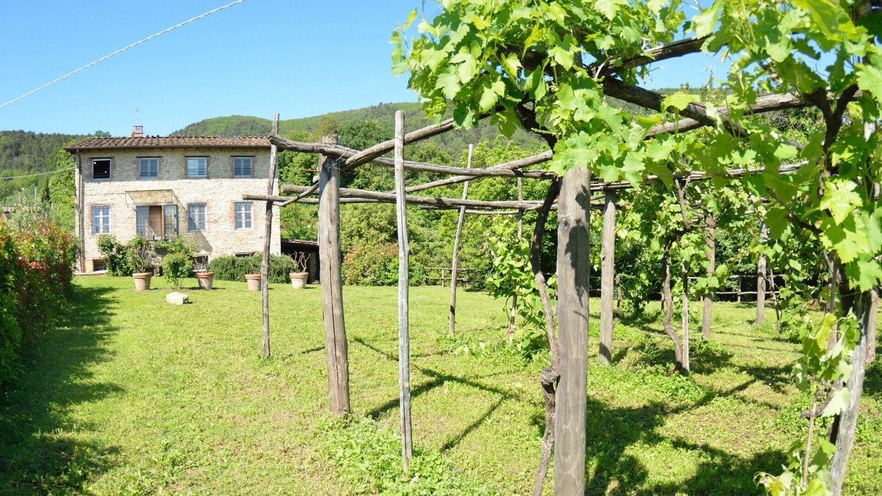 Photo of Outdoor in Vicopelago