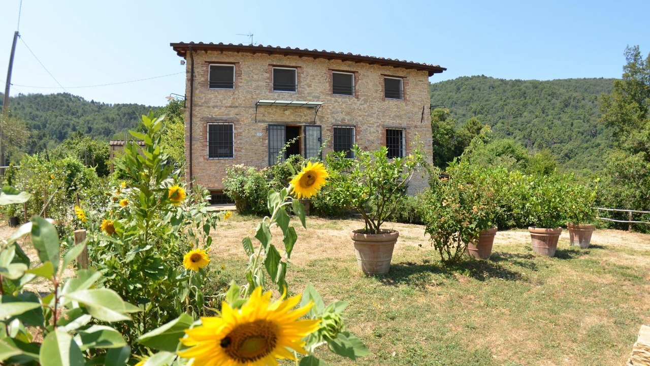 Photo of Outdoor in Vicopelago
