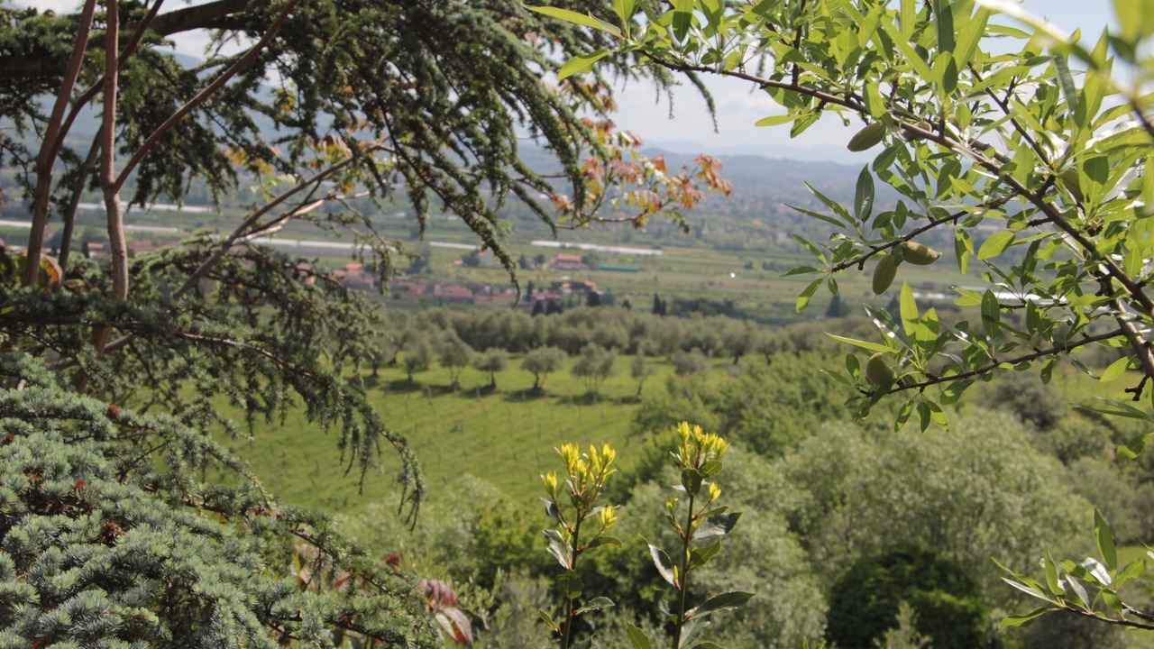 Photo of Outdoor in San Michele di Moriano