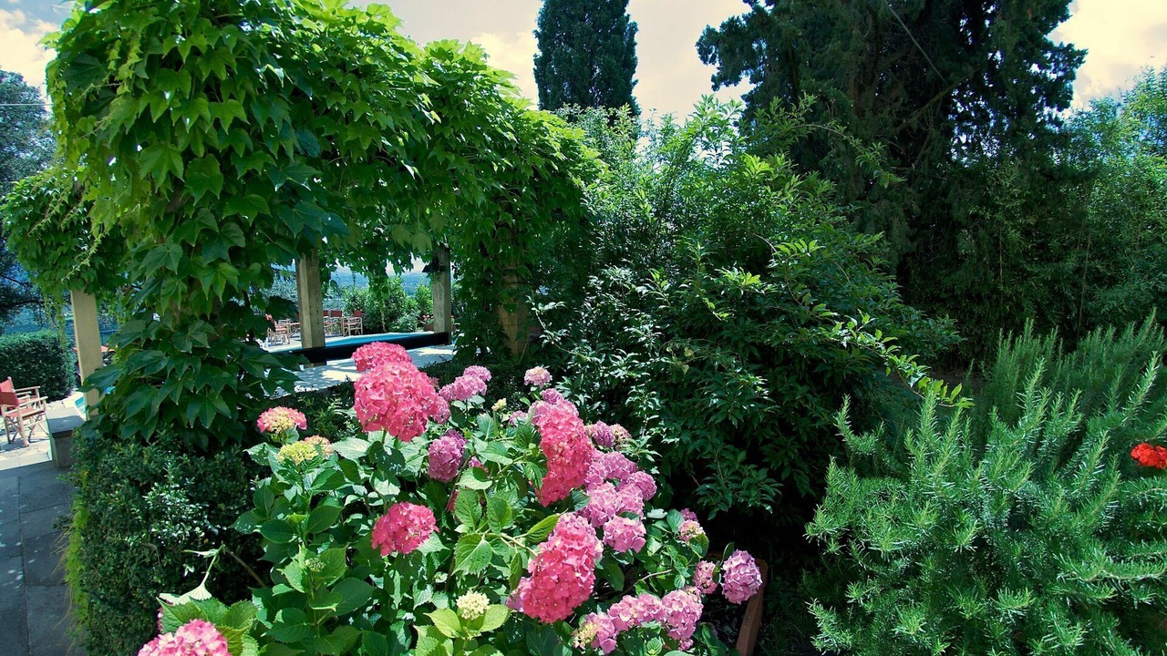 Photo of Outdoor in San Michele di Moriano
