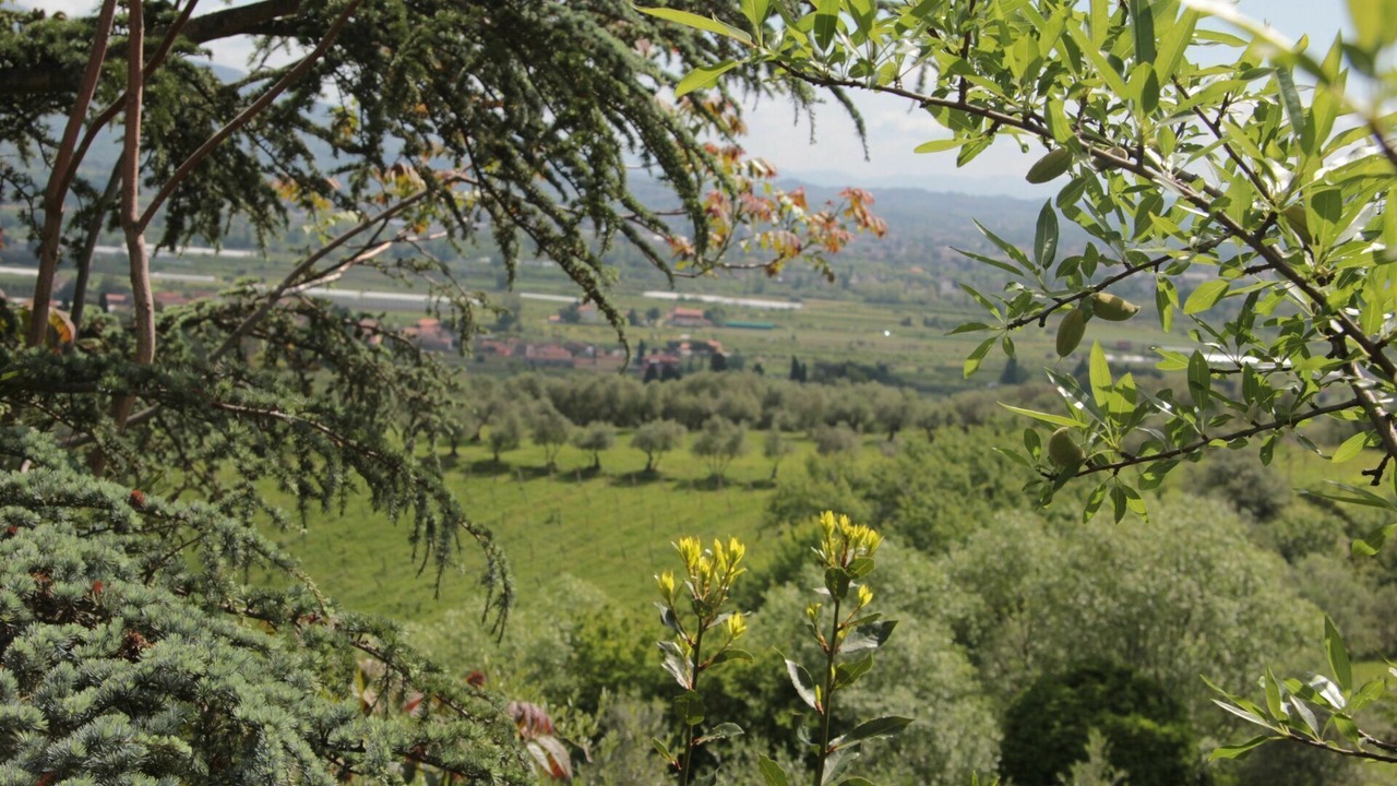 Photo of Outdoor in San Michele di Moriano