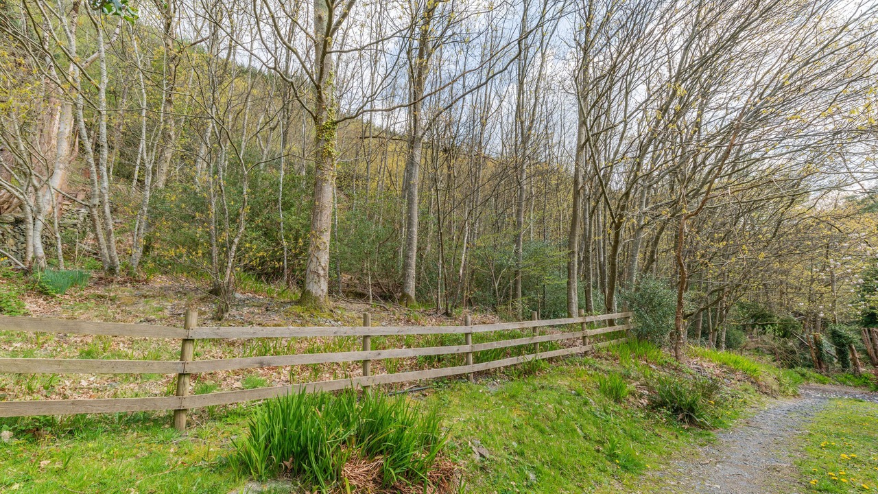 Photo of Outdoor in Corris