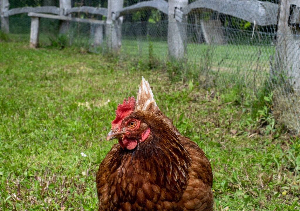 Photo of Others in Beckley