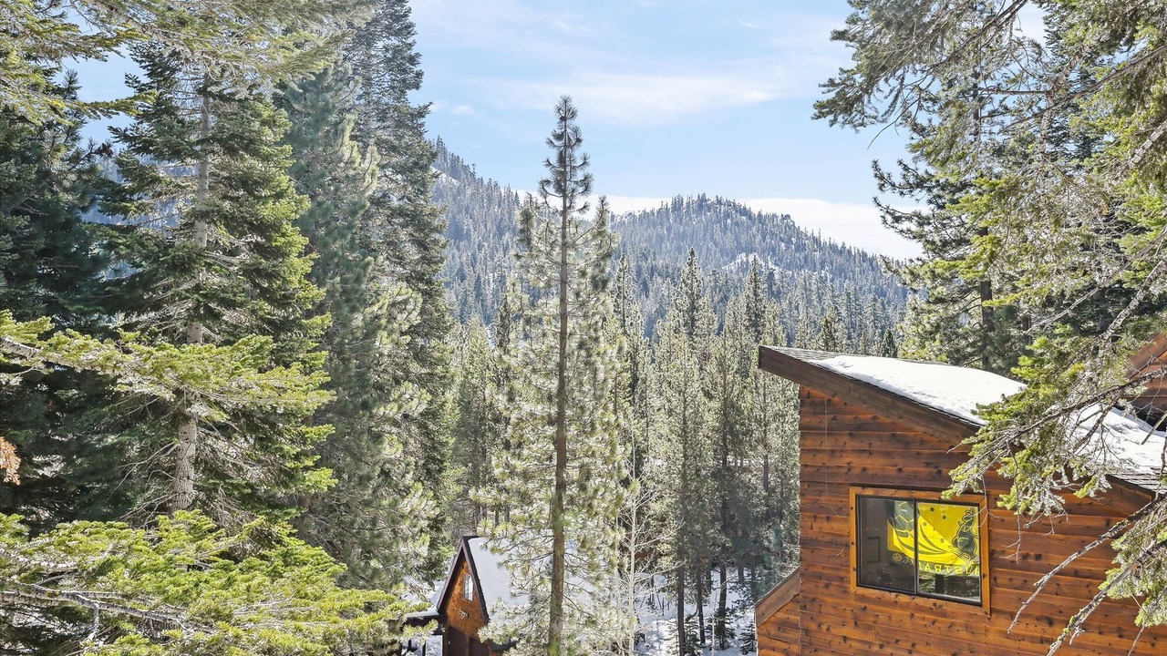 Photo of Outdoor in Alpine Meadows