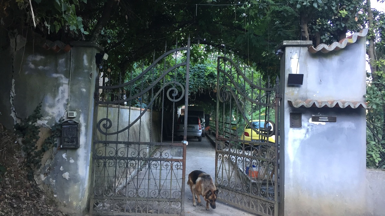 Photo of Outdoor in San Giuliano Terme
