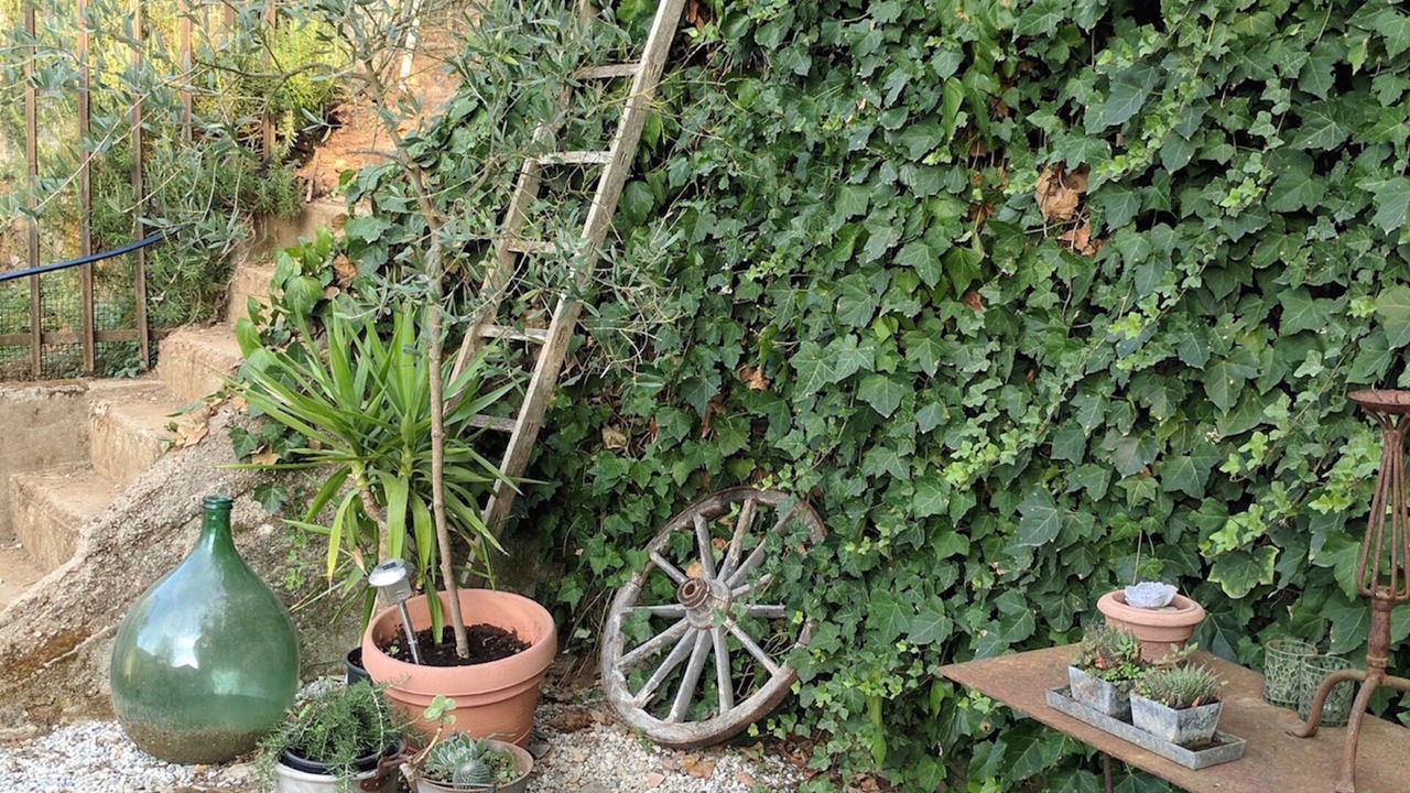 Photo of Outdoor in San Giuliano Terme