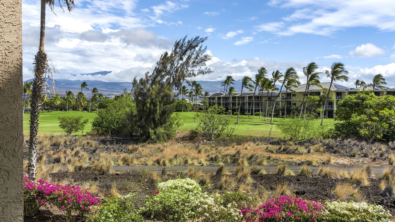 Photo of Others in Waikoloa