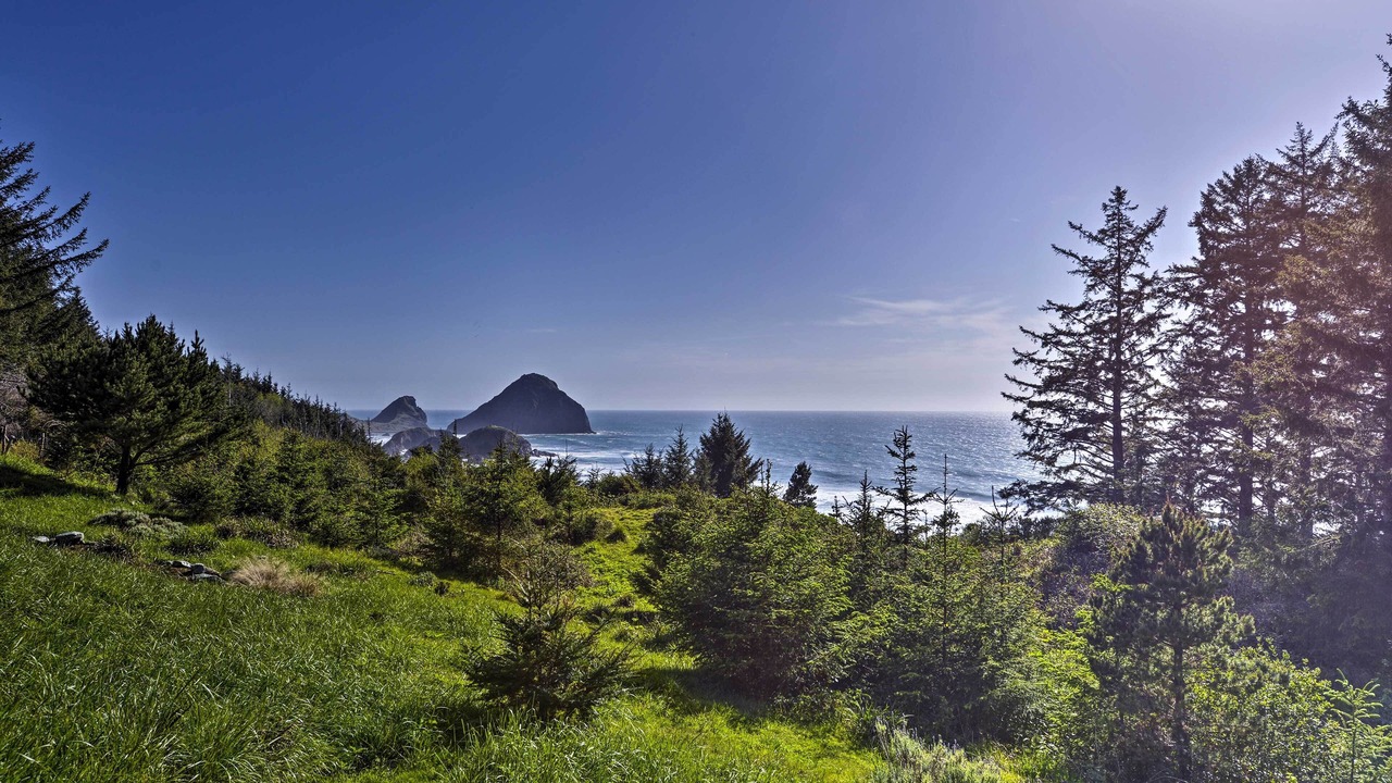 Photo of Others in Port Orford