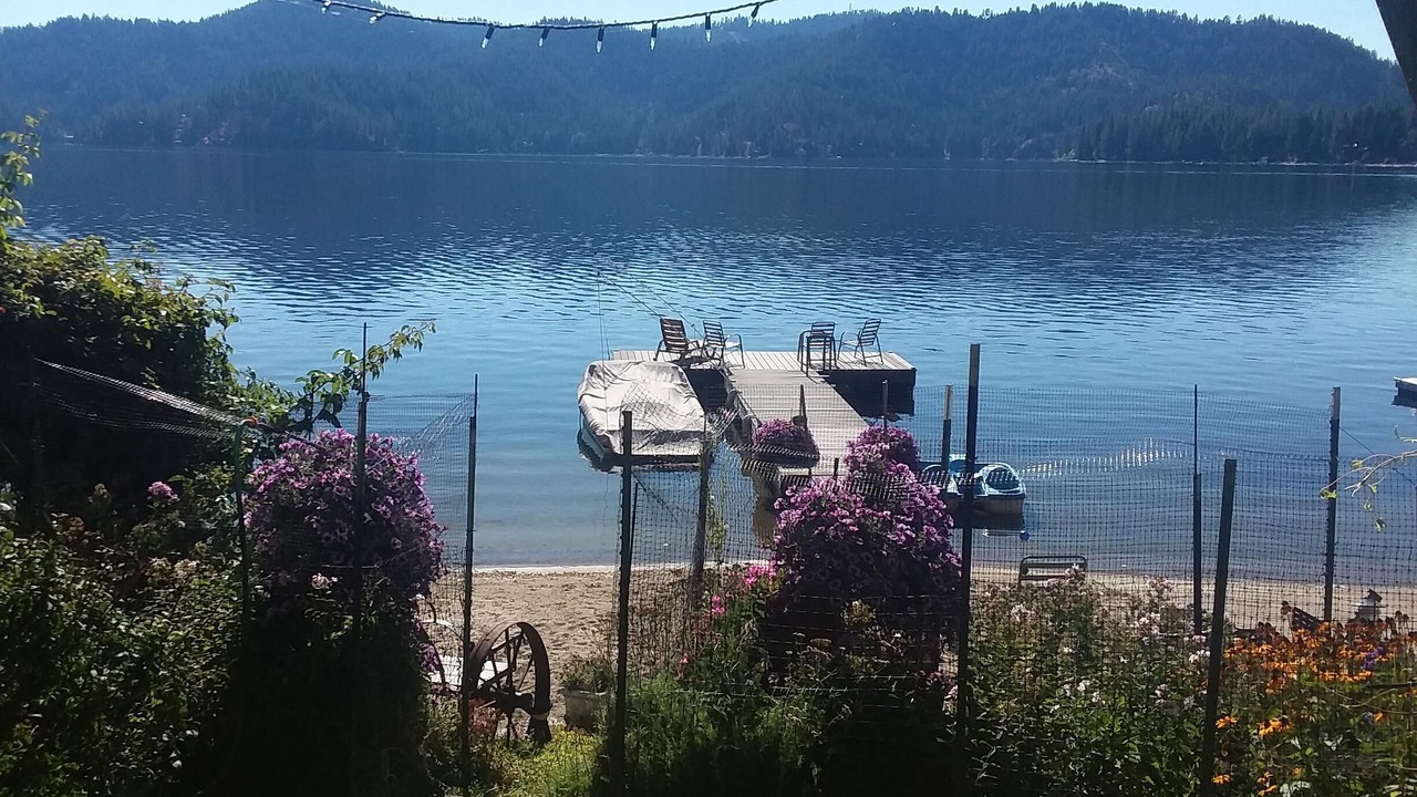Photo of Outdoor in Loon Lake