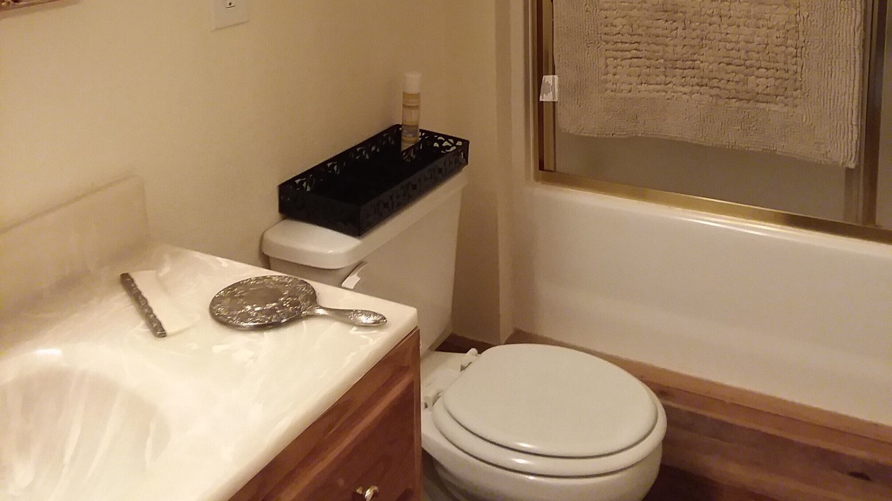 Photo of Bathroom in Loon Lake