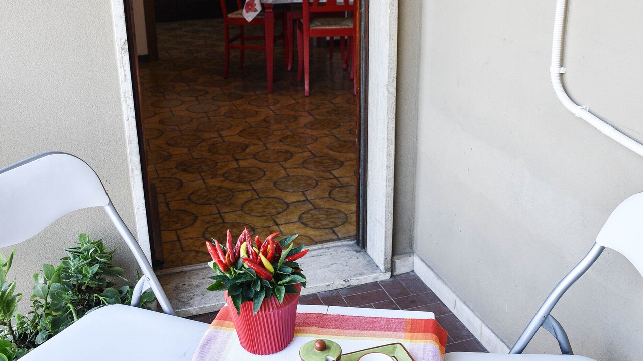 Photo of Outdoor in Lucca Historical Center