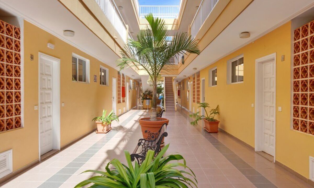 Photo of Outdoor in Puerto de Santiago