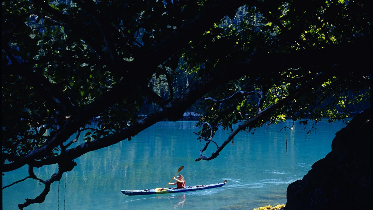 Photo of Outdoor in Cooper Landing