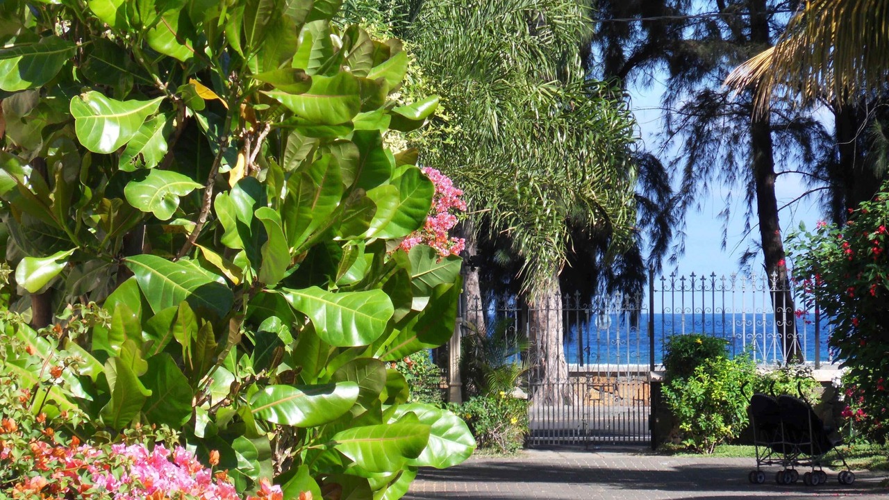 Photo of Outdoor in Flic-en-Flac