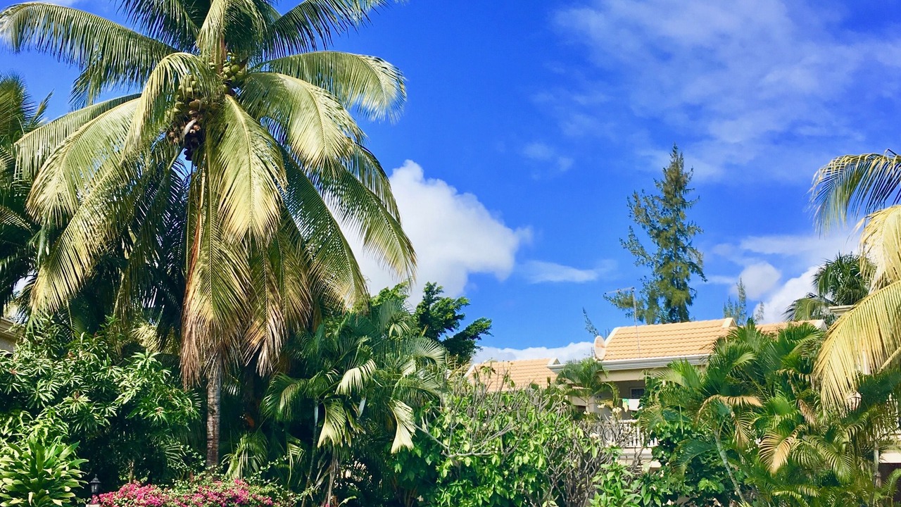 Photo of Outdoor in Flic-en-Flac
