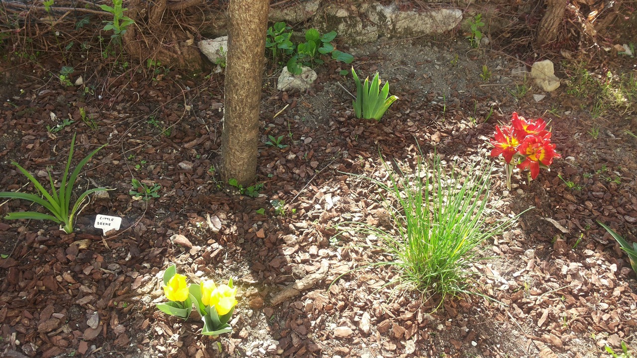 Photo of Outdoor in Tarzo