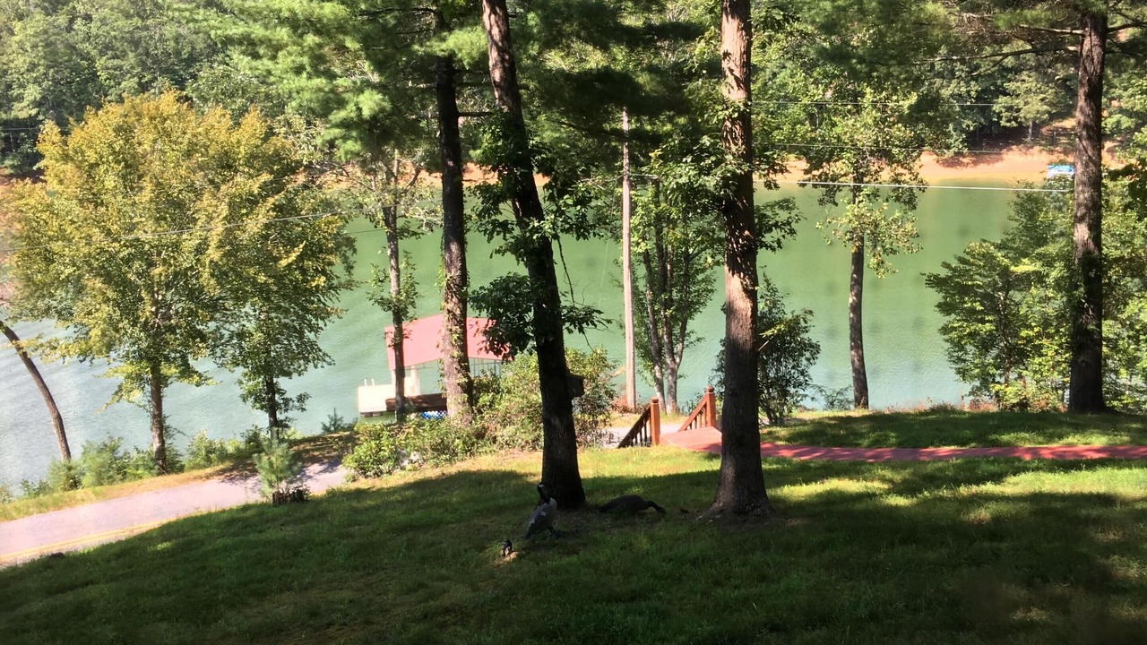 Photo of Others in Blairsville