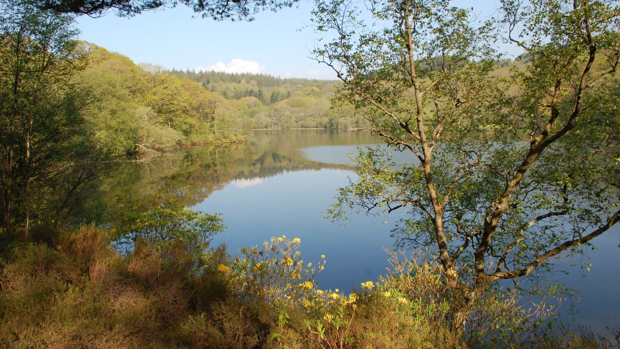 Photo of Others in Maentwrog