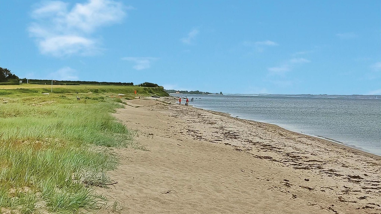Photo of Others in Flovt Strand