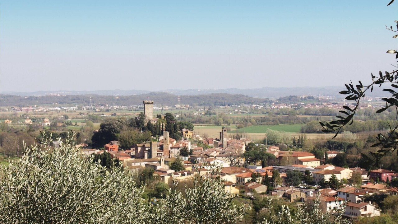 Photo of Others in Calcinaia