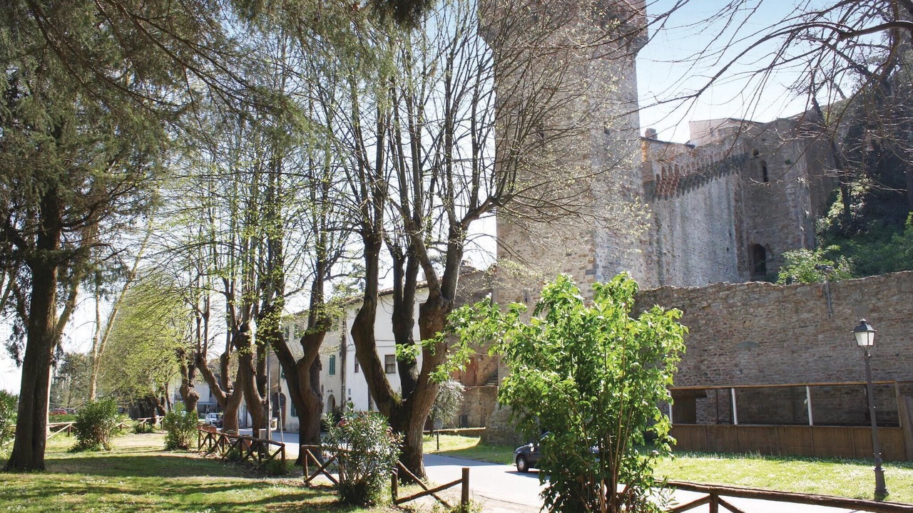 Photo of Others in Calcinaia