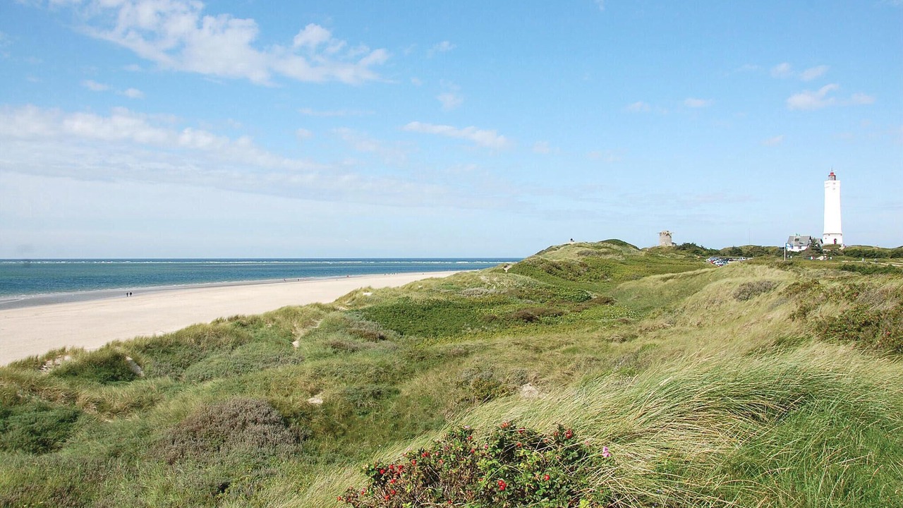 Photo of Others in Blavand Strand