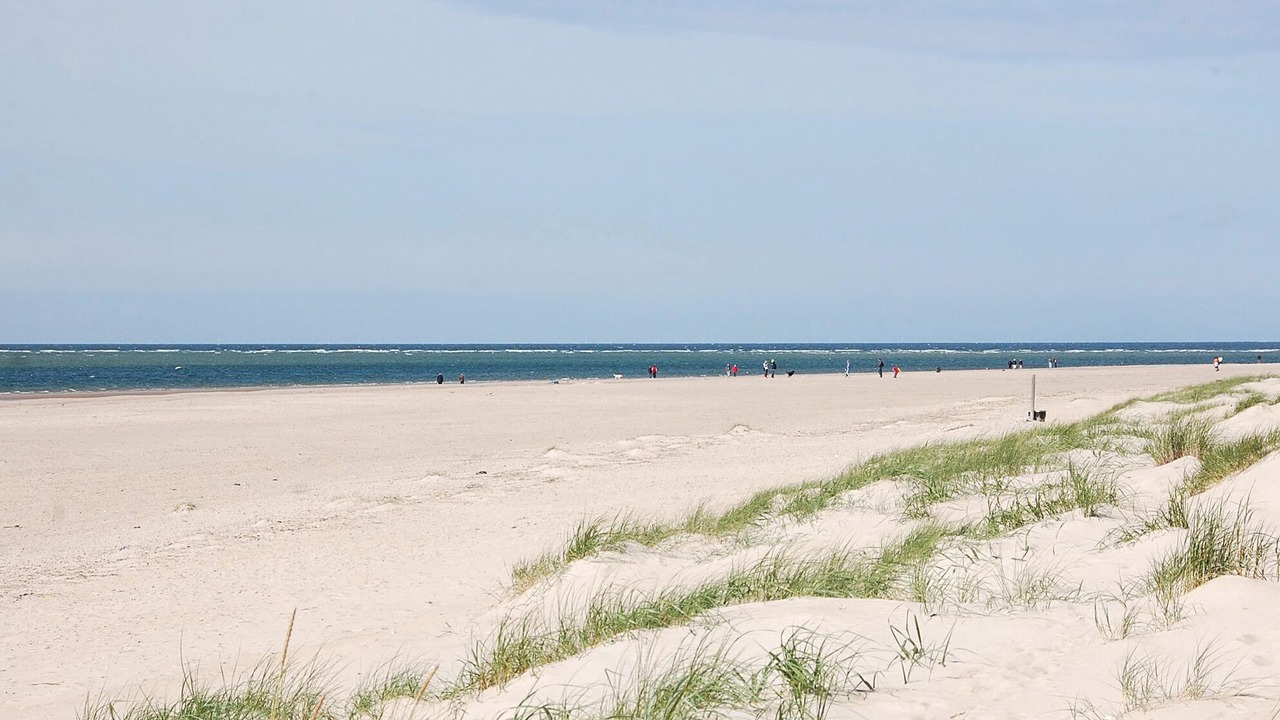 Photo of Others in Blavand Strand