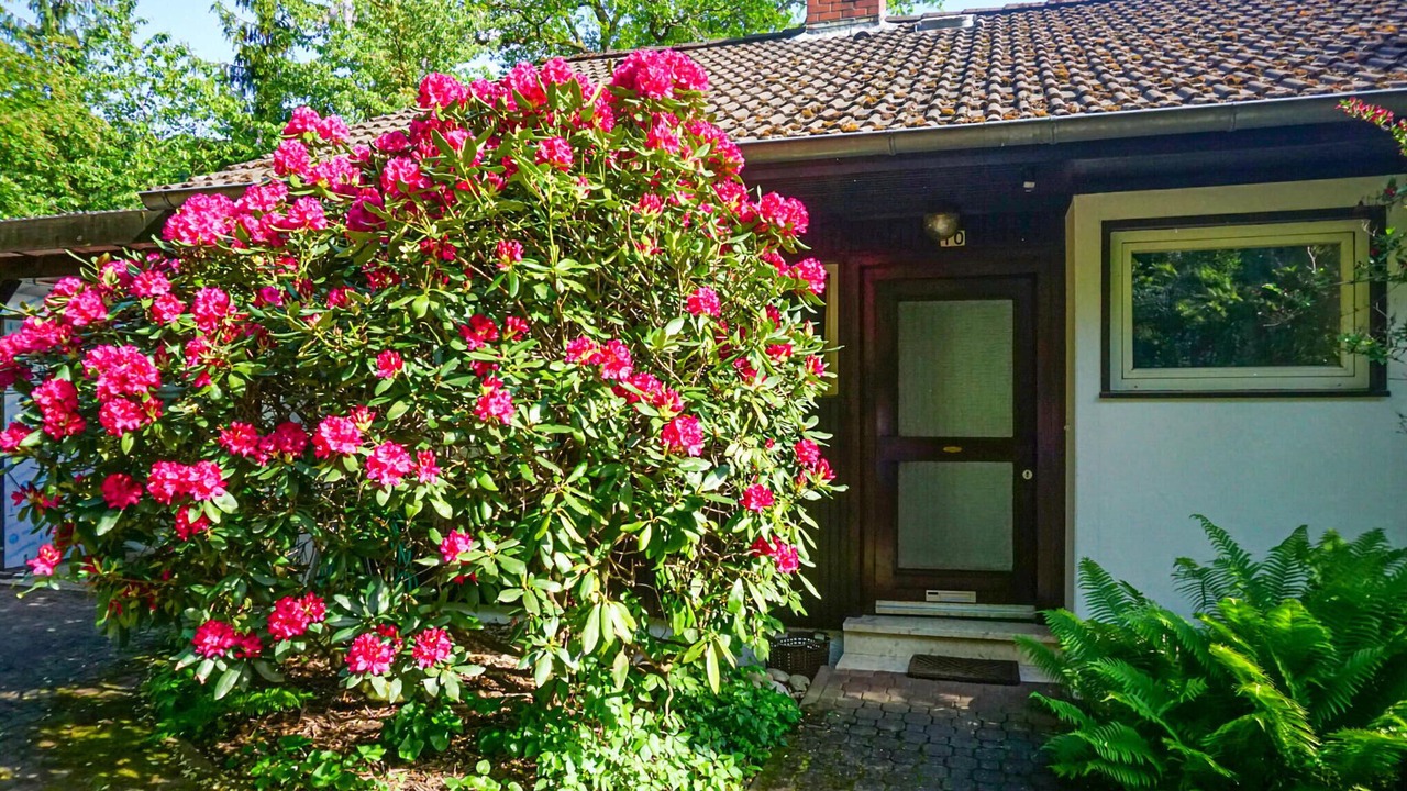 Photo of Outdoor in Hinterweidenthal