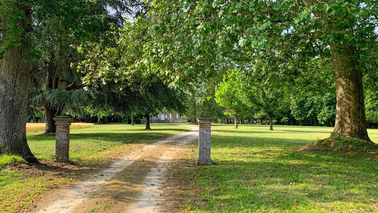 Photo of Others in Saint-Michel-de-Chavaignes