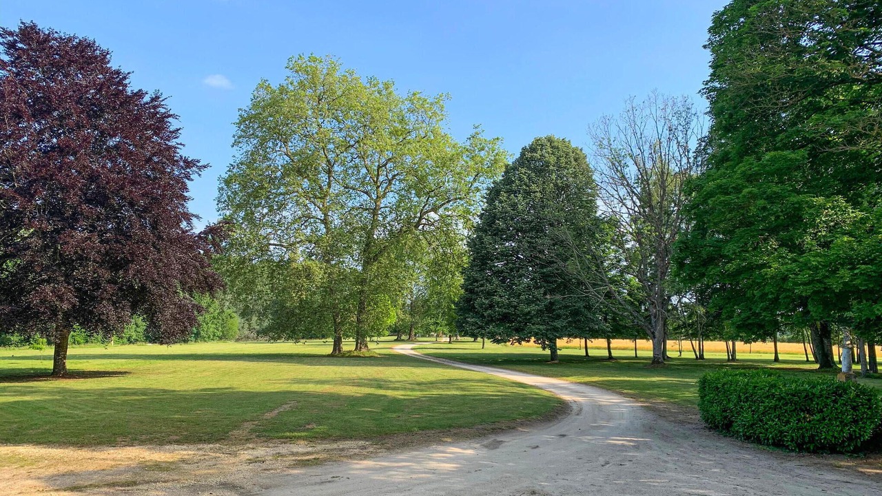 Photo of Others in Saint-Michel-de-Chavaignes